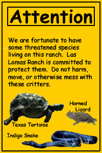 Endangered Species